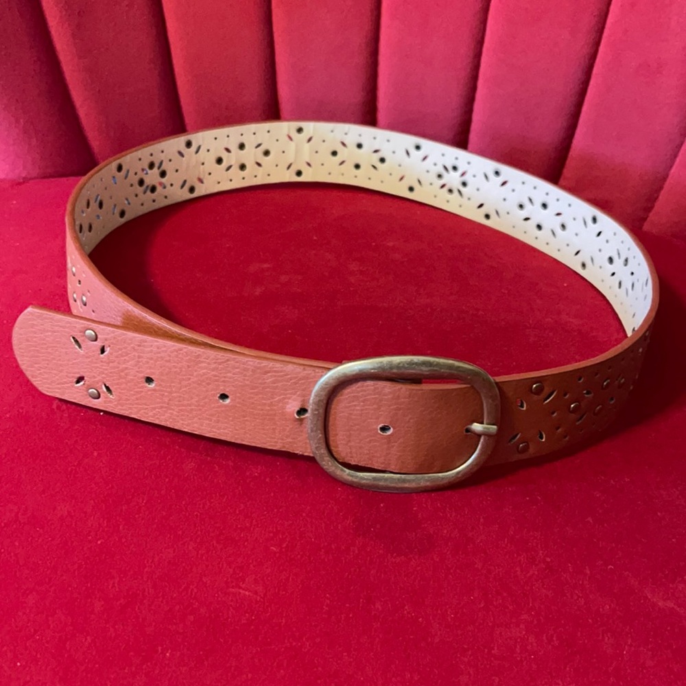 Lake Shore Drive Belt